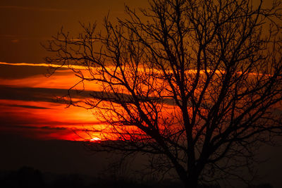 Silhouette bare tree against dramatic sky during sunset