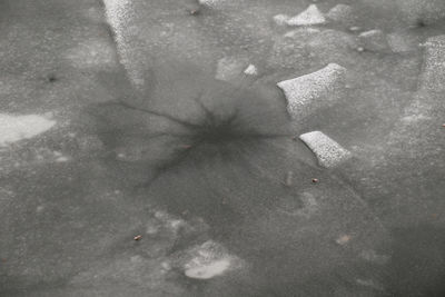 High angle view of crab on sand