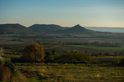 Scenic view of field against clear sky during sunset