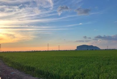 Scenic view of field against sky during sunset