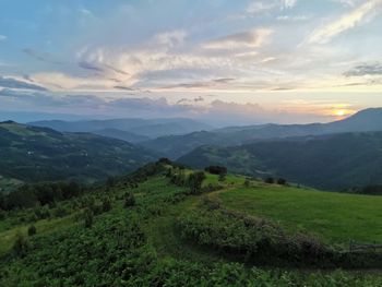 Scenic view of field against sky during sunset