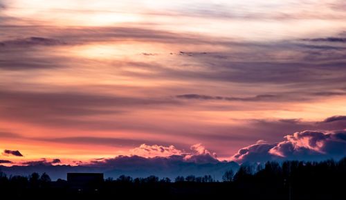 Low angle view of silhouette trees against dramatic sky