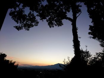 Silhouette trees against sky at night