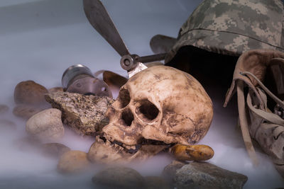 Close-up of human skull on table