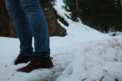 Low section of woman on snow covered tree