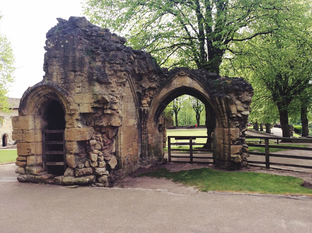 tree, architecture, built structure, building exterior, arch, old, day, outdoors, stone wall, sky, no people, sunlight, history, growth, stone material, park - man made space, wall - building feature, shadow, absence, empty