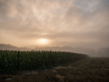 Scenic view of field against sky during sunset