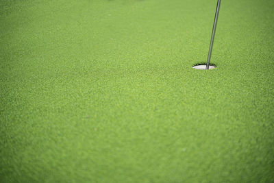 Surface level of golf ball on green field