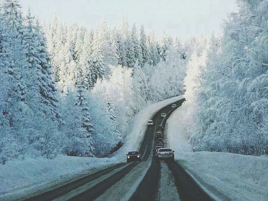 snow, winter, cold temperature, transportation, weather, season, the way forward, road, mode of transport, covering, land vehicle, diminishing perspective, vanishing point, car, street, frozen, white color, covered, tree, nature