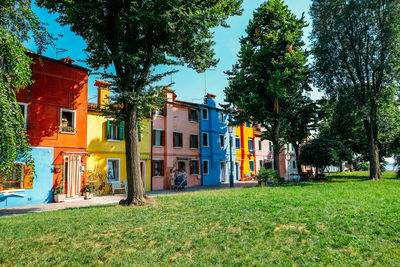 Trees and houses on field against sky