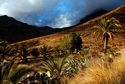 Scenic view of mountains against cloudy sky