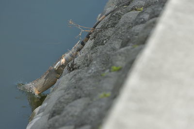 Close-up of water against sky