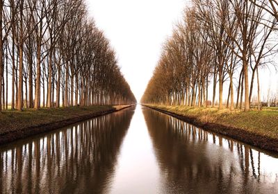 Reflection of bare trees in lake against sky