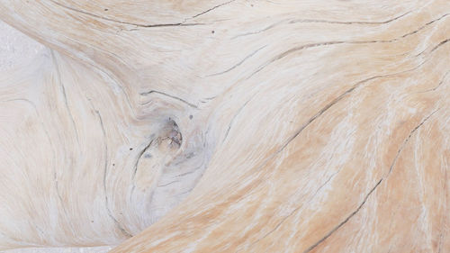 Natural background of wood 