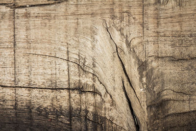 Full frame shot of wooden planks