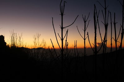 Bromo sunrise