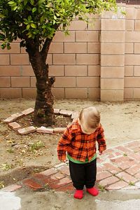 High angle view of boy looking at puddle while standing on footpath in yard