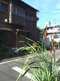 Plants and houses against sky