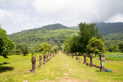 Trees in cemetery against sky