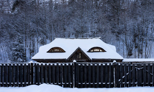 Snow covered field by trees