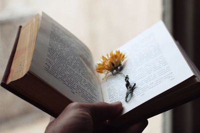 Cropped hand holding book with dried yellow flower