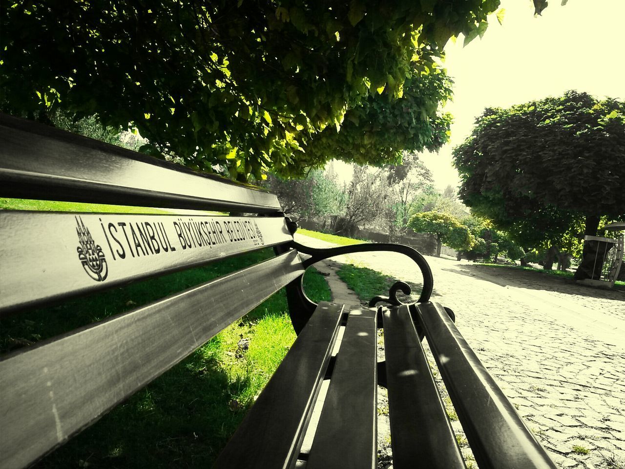 tree, transportation, railroad track, the way forward, railing, text, sunlight, growth, rail transportation, day, green color, outdoors, shadow, no people, road, empty, diminishing perspective, metal, western script, mode of transport