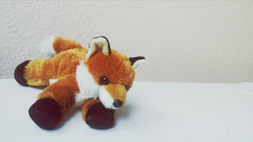 Close-up of stuffed toy