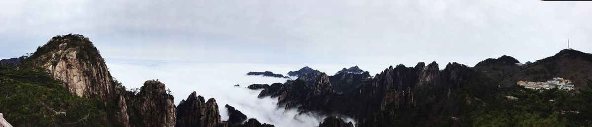 Panoramic view of trees against sky