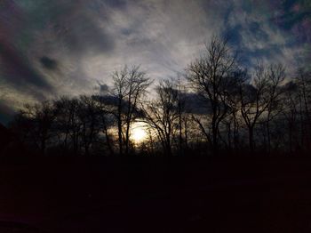 Low angle view of silhouette trees against sky during sunset