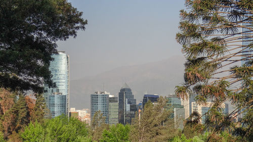 Trees and buildings against sky