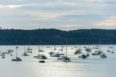 Sailboats moored on sea against sky