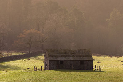 House on field against trees