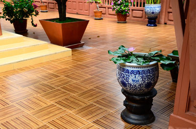 High angle view of potted plant on table