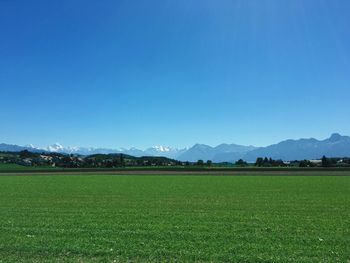 Scenic view of field against clear blue sky