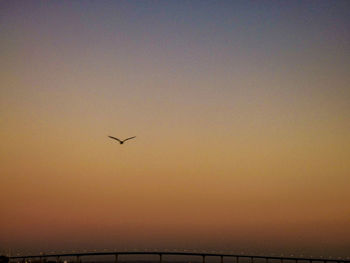 Airplane flying against clear sky during sunset