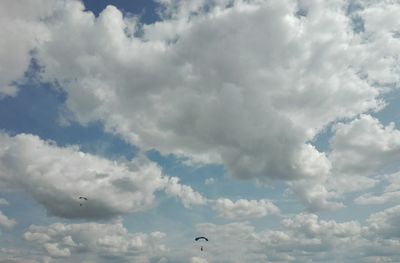 Low angle view of birds flying in sky