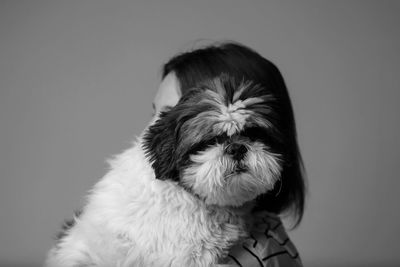 Portrait of dog against white background
