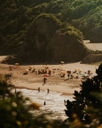 People on beach by trees