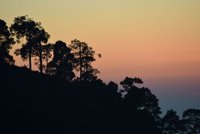 Low angle view of silhouette trees against sky at sunset