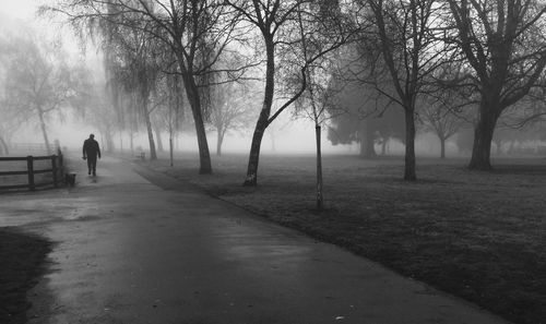 Road passing through trees in park