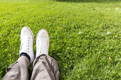 Low section of person on field