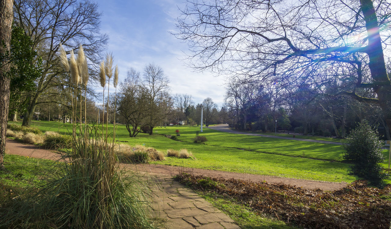 FOOTPATH IN PARK