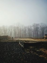 Bare trees on landscape