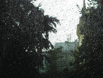 Rain drops on glass window