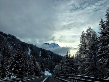 Road amidst trees against sky during winter