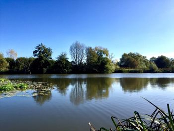 Reflection of trees in lake against clear sky