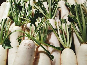 Close-up of vegetables