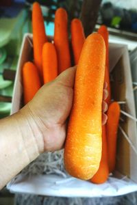 Close-up of hand holding orange