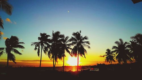 Silhouette palm trees on beach against sky during sunset