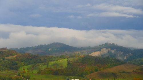 Scenic view of agricultural field against sky